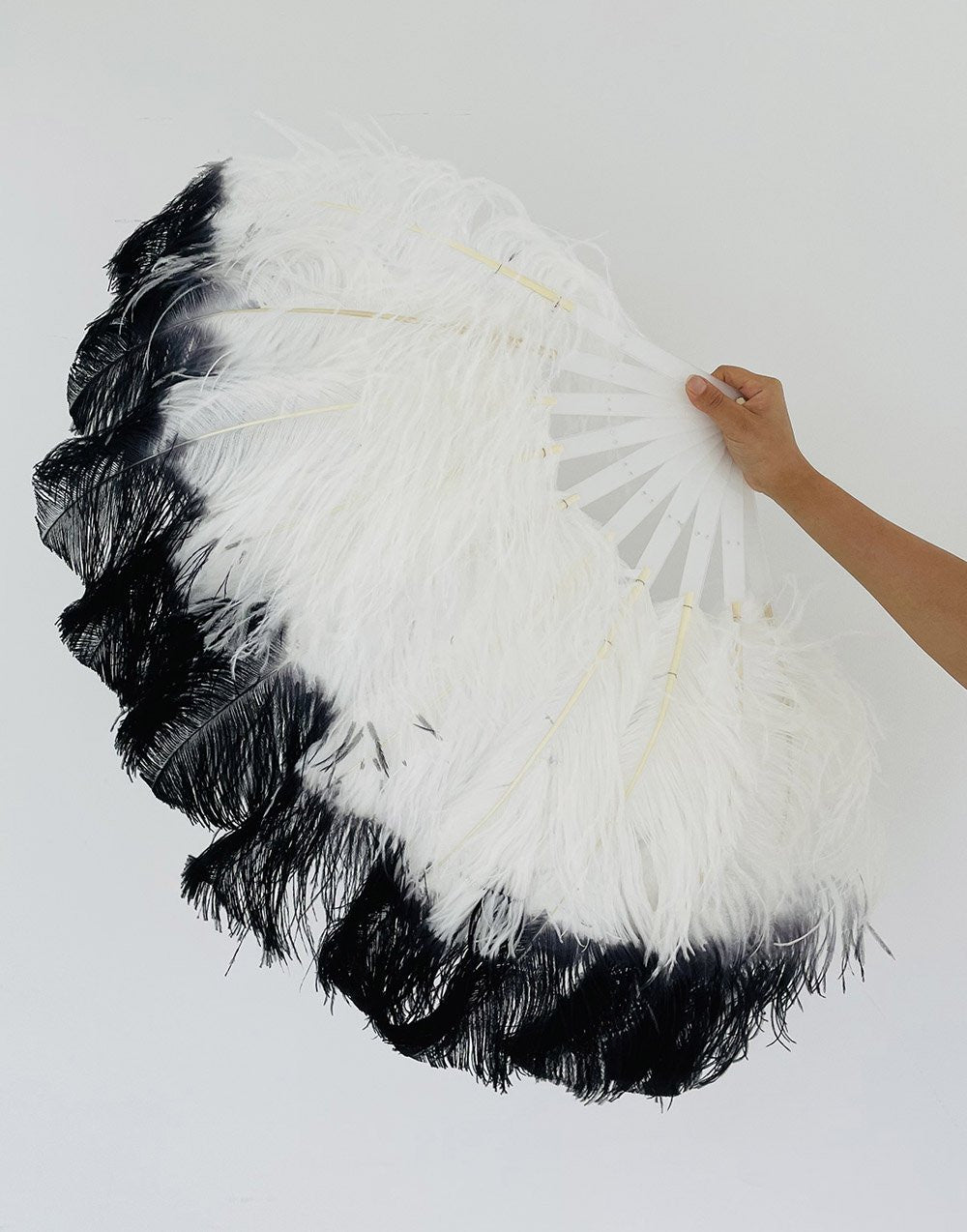 A pair white tips dye black Single layer Ostrich Feather fan 24"x 41" with leather travel Bag.