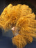 A pair topaz Single layer Ostrich Feather fan 24"x 41" with leather travel Bag.