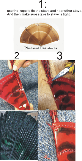 transparent Set of 5 of Pheasant Fan staves 6