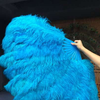 XL 2 Layers turquoise Ostrich Feather Fan 34''x 60'' with Travel leather Bag.