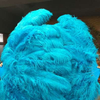 Abanico XL 2 capas de plumas de avestruz turquesa 34''x 60 '' con bolsa de viaje de cuero.