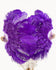 Violetter Fächer aus Marabu-Straußenfedern, 61 x 109,2 cm, mit Reise-Ledertasche.