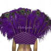 Parte trasera de plumas de pavo real de avestruz estilo majestuoso abierto violeta.