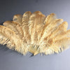 Leque de penas de avestruz de trigo de 2 camadas 30&quot; x 54&quot; com bolsa de viagem de couro.
