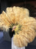 Un par de abanicos de pluma de avestruz de una sola capa de trigo de 24 "x 41" con bolsa de viaje de cuero.