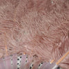 Abanico de plumas de avestruz de una sola capa de madera beige con bolsa de viaje de cuero de 25&quot;x 45&quot;.