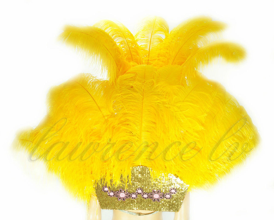 Golden Yellow Ostrich Feather Open Face Headdress & backpiece Set.