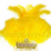 Golden Yellow Ostrich Feather Open Face Headdress & Backpiece Set.