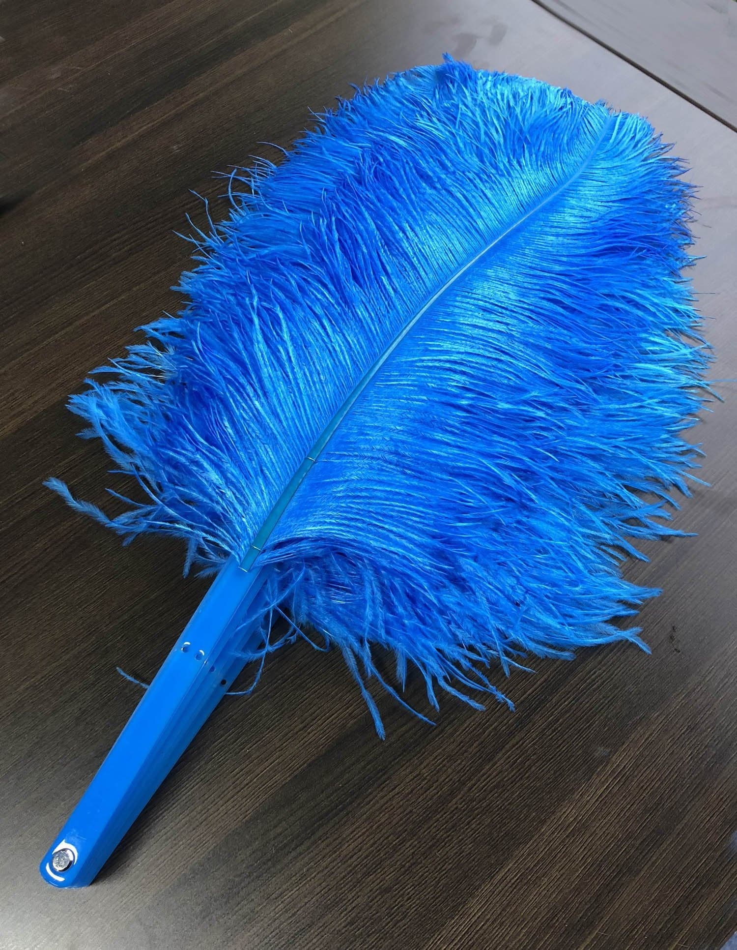 A pair blue Single layer Ostrich Feather fan 24"x 41" with leather travel Bag.