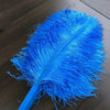 A pair blue Single layer Ostrich Feather fan 24"x 41" with leather travel Bag.